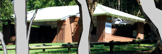 Cabarita Shelter